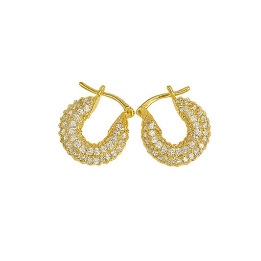 Zirkon Taşlı Işıltılı Çelik Halka Küpe