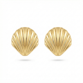 Shell Gold Küpe
