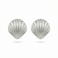Shell Silver Küpe