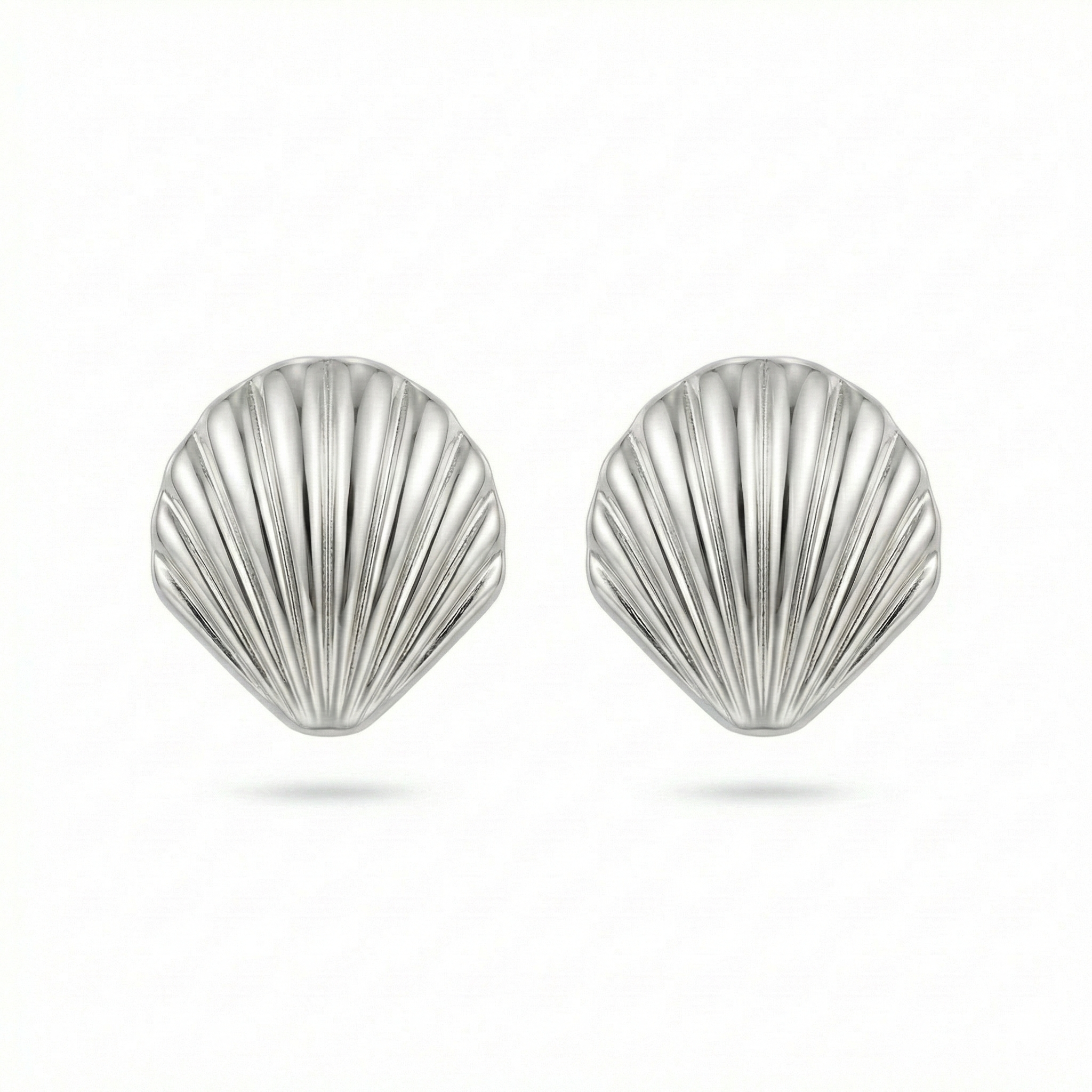 Shell Silver Küpe